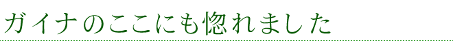 ガイナのここにも惚れました