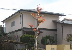 春日井市Ｋ様邸、外壁に断熱ガイナ塗装、屋根板金カバー工事施工後の外観全景写真