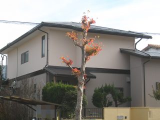 春日井市Ｋ様邸、外壁に断熱ガイナ塗装、屋根板金カバー工事施工後の外観全景写真